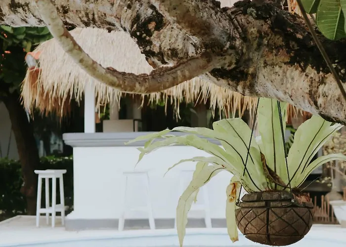 Hotel Oasis Boutique *